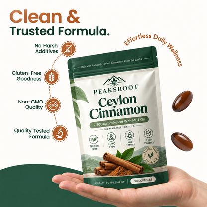 Ceylon Cinnamon 7200mg Equivalent with MCT Oil